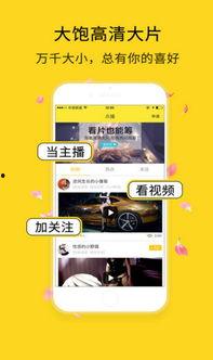 成人用品视频APP,APP带你轻松体验私密生活