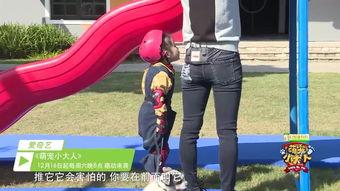 成人坐滑滑梯视频大全,成人滑梯视频大盘点