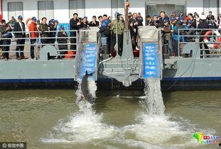 成人坐滑滑梯视频大全,成人滑梯视频大盘点