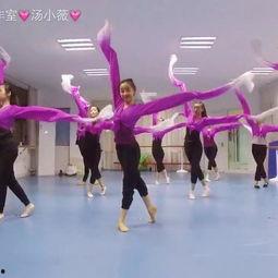 成人入门舞蹈中国舞视频,跟随中国舞入门教程，轻松掌握古典舞韵