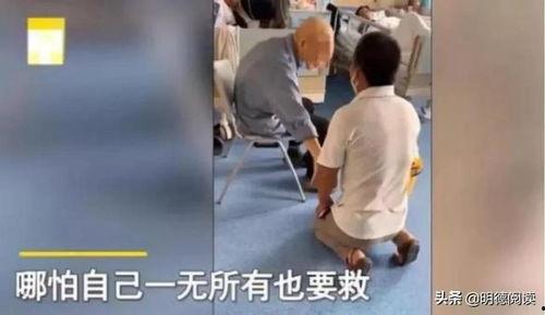 成人儿子下跪视频大全