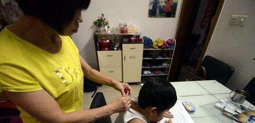 成人儿子下跪视频大全