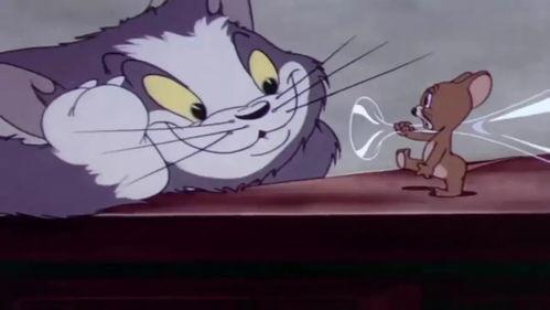 看猫和老鼠变成人的视频,奇幻穿越的奇幻之旅