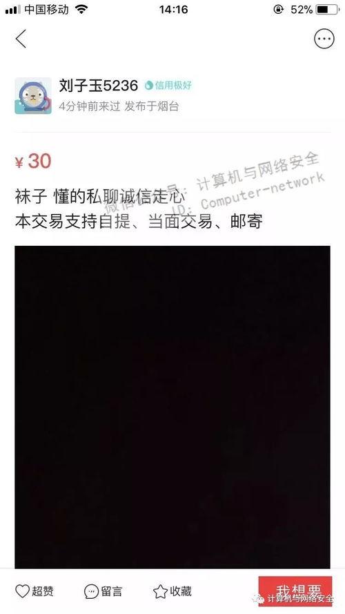 成人无码拍拍视频播放网,隐私与伦理的边界探索