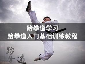 跆拳道成人基础视频,跟随视频轻松掌握跆拳道技巧