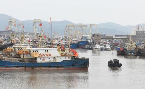 福建吃瓜渔船轨迹视频,吃瓜群众的海洋奇遇记