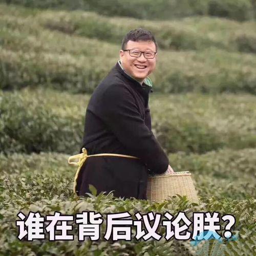 惊叹俱乐部吃瓜视频,揭秘吃瓜视频背后的精彩故事
