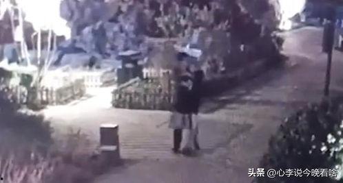 天台吃瓜视频完整版,揭秘完整版视频背后的真相与争议