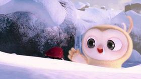 山村吃瓜的视频,一场别开生面的吃瓜盛宴