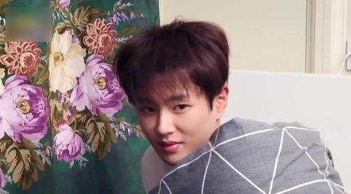 范丞丞吃瓜沈腾视频,揭秘娱乐圈幕后趣事