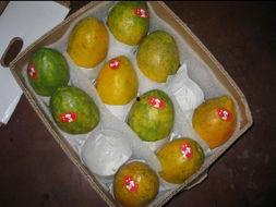 吃瓜台湾网红视频,揭秘娱乐圈幕后真相