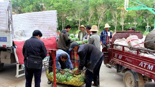 雷山吃瓜群众事件真相视频,揭秘真相背后的真相
